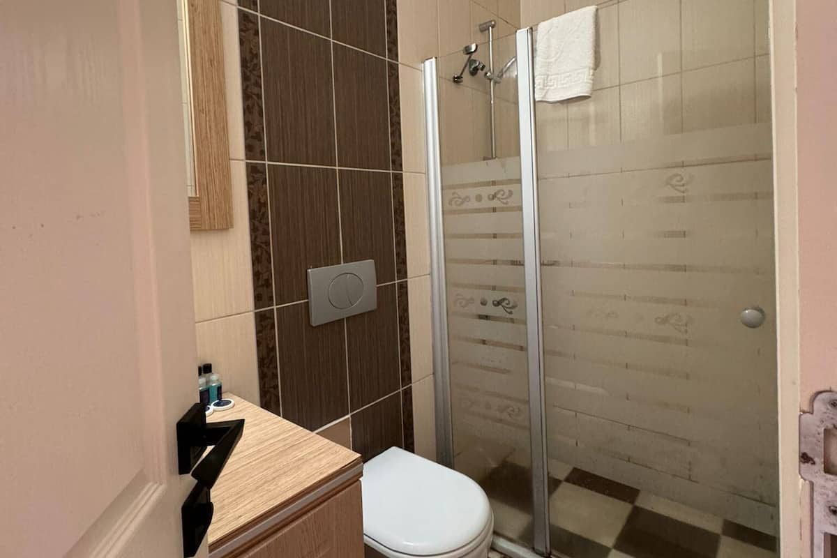 A bathroom with a toilet, a shower with a glass door, and a mirror.