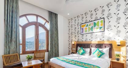Treebo Anand The Mall Solan