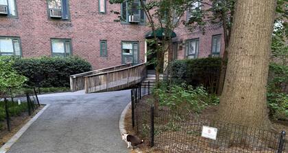 Healthcare workers dream Lower east side Manhattan 1-bd available shared apt