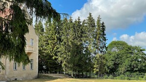 Ein Gebäude mit einer steinernen Fassade, einem begrünten Innenhof und hohen Bäumen.