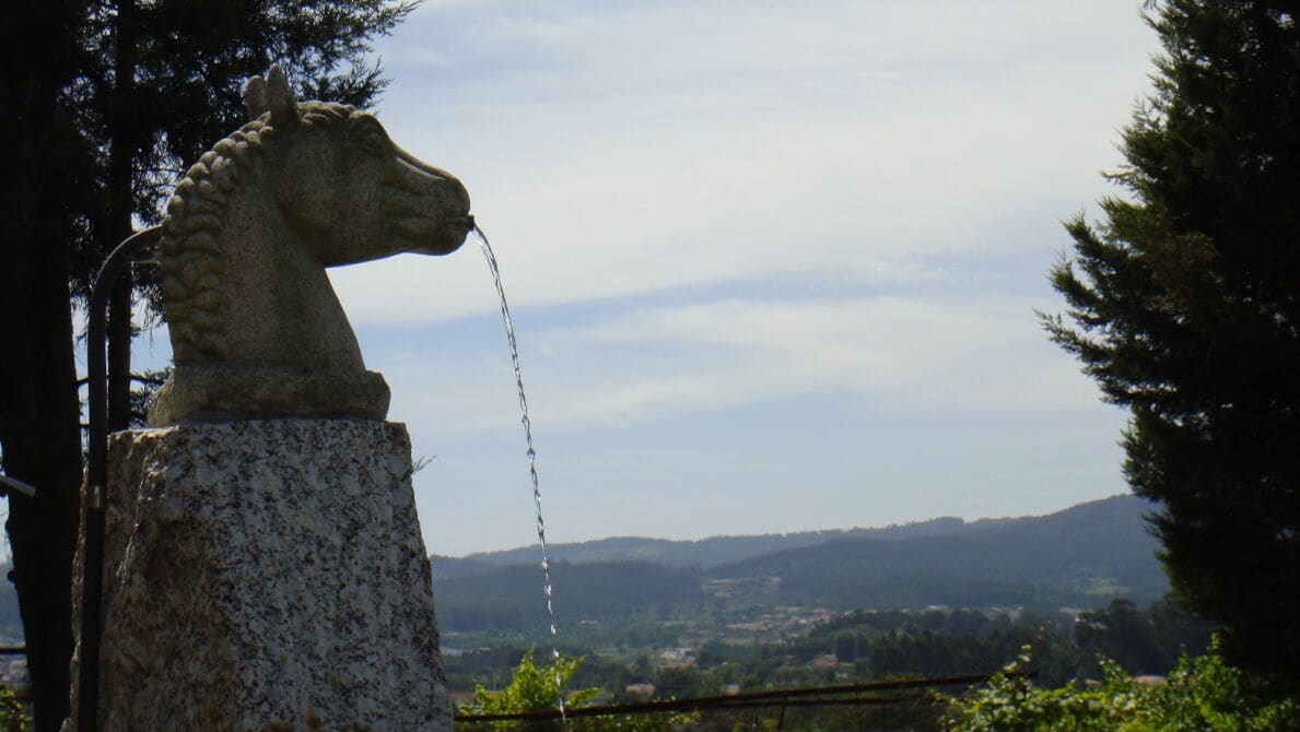 Foto - Hotel Quinta da Tulha By VimaHotels