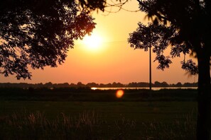 Immagine non classificata, 5 di 15, pulsante