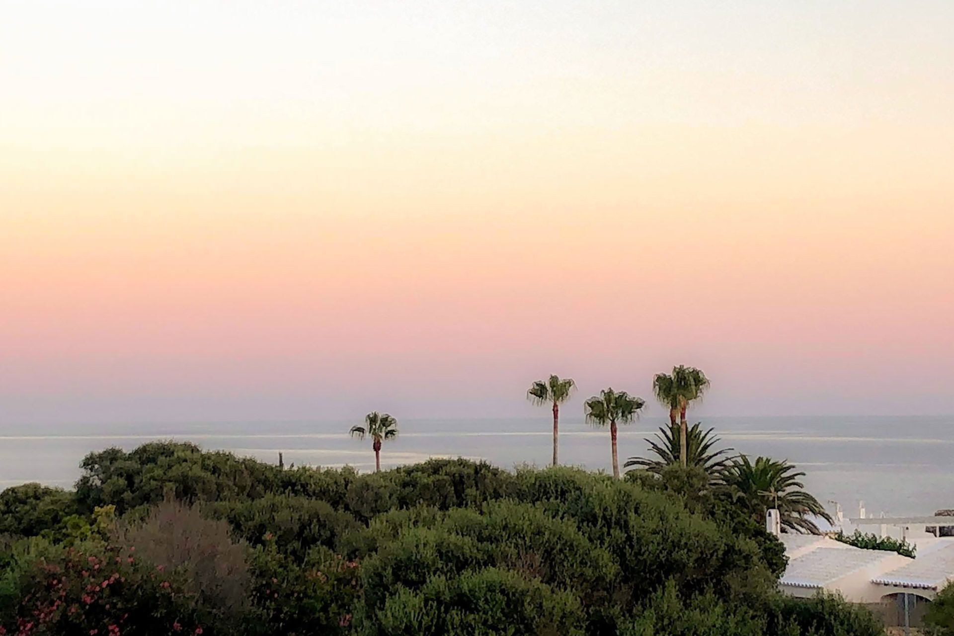 A coastal landscape with dense greenery and palm trees, overlooking a calm sea.