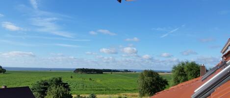 Vue depuis l’hébergement