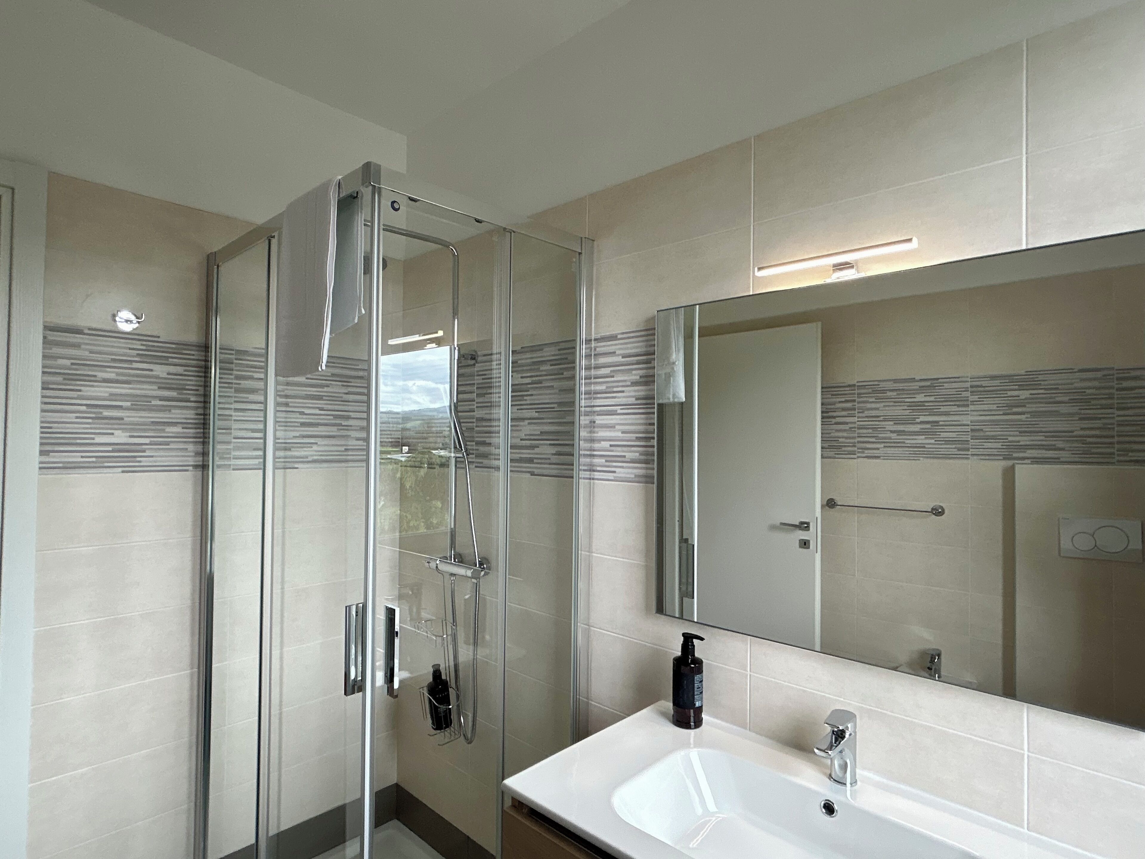 Haartrockner, Bidet, Handtücher, Seife