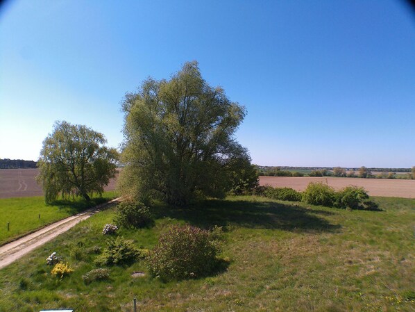 Imagen sin descripción, 1 de 22, botón