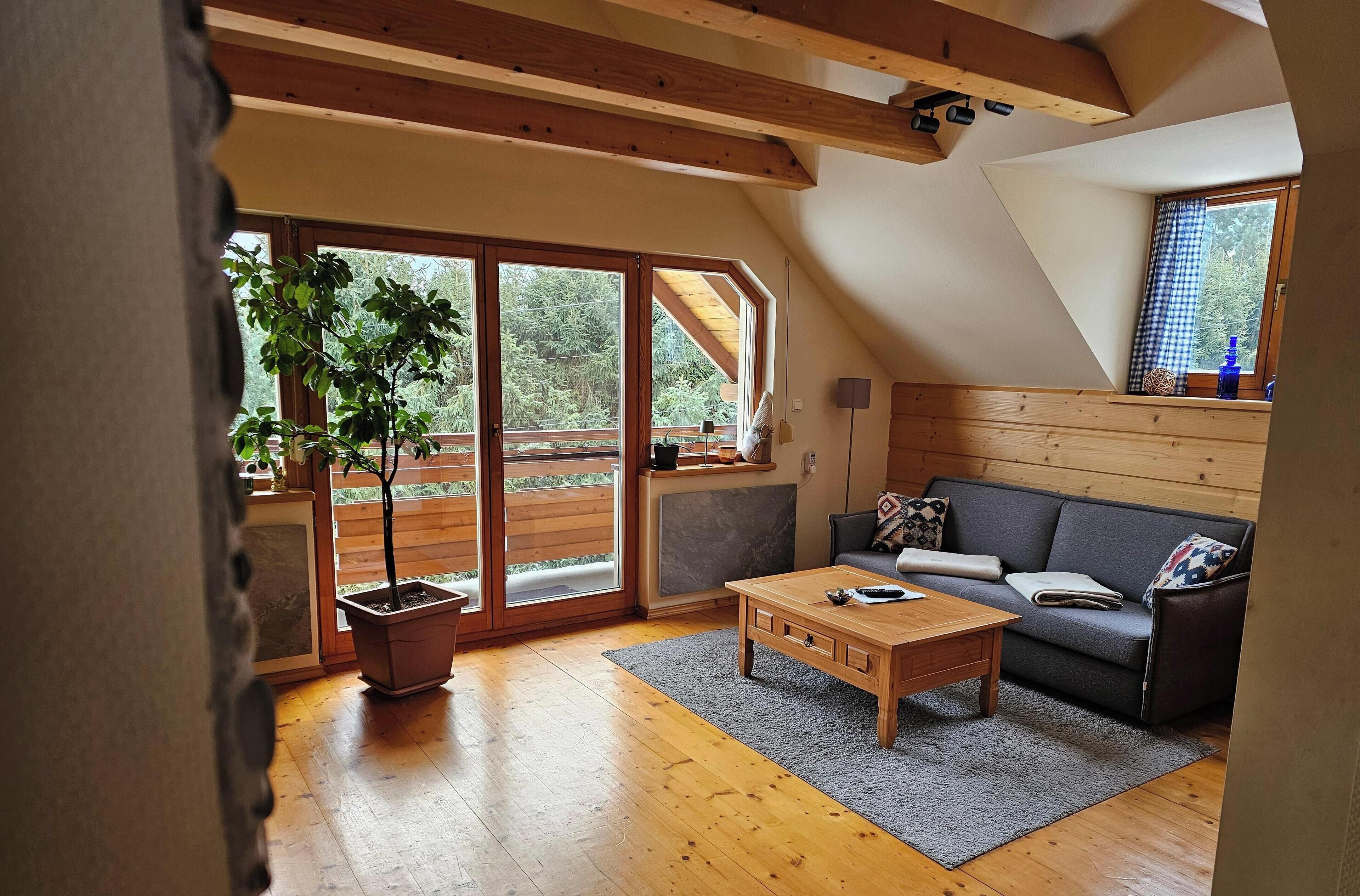 Smart TV, chimenea, reproductor de DVD y libros 