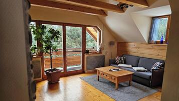 Smart TV, chimenea, reproductor de DVD y libros
