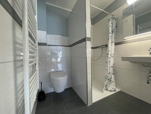 Shower, hair dryer, soap, toilet paper