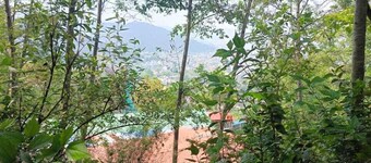 Treez Resort Pvt Ltd