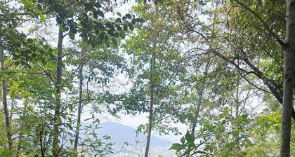 Treez Resort Pvt Ltd