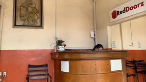 A reception desk with a framed artwork above it, a RedDoorz sign on the wall, and a chair in front. - Hotel O Medan near Universitas Sumatera Utara formerly Surya Residence (Medan)
