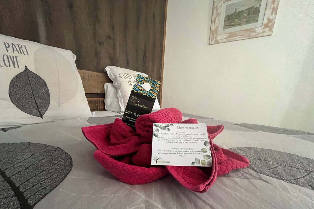 A neatly made bed with a pillow featuring a leaf design, a book titled 'La Kaguillishe', and a welcome card.