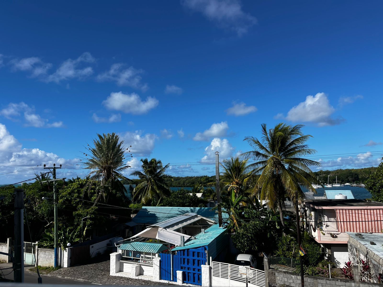 A coastal residential area with houses, palm trees, and a clear blue sky.
