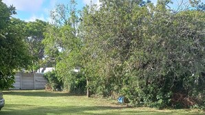 A grassy outdoor area with trees and a clear sky. - Villiers Villa (Gqeberha)
