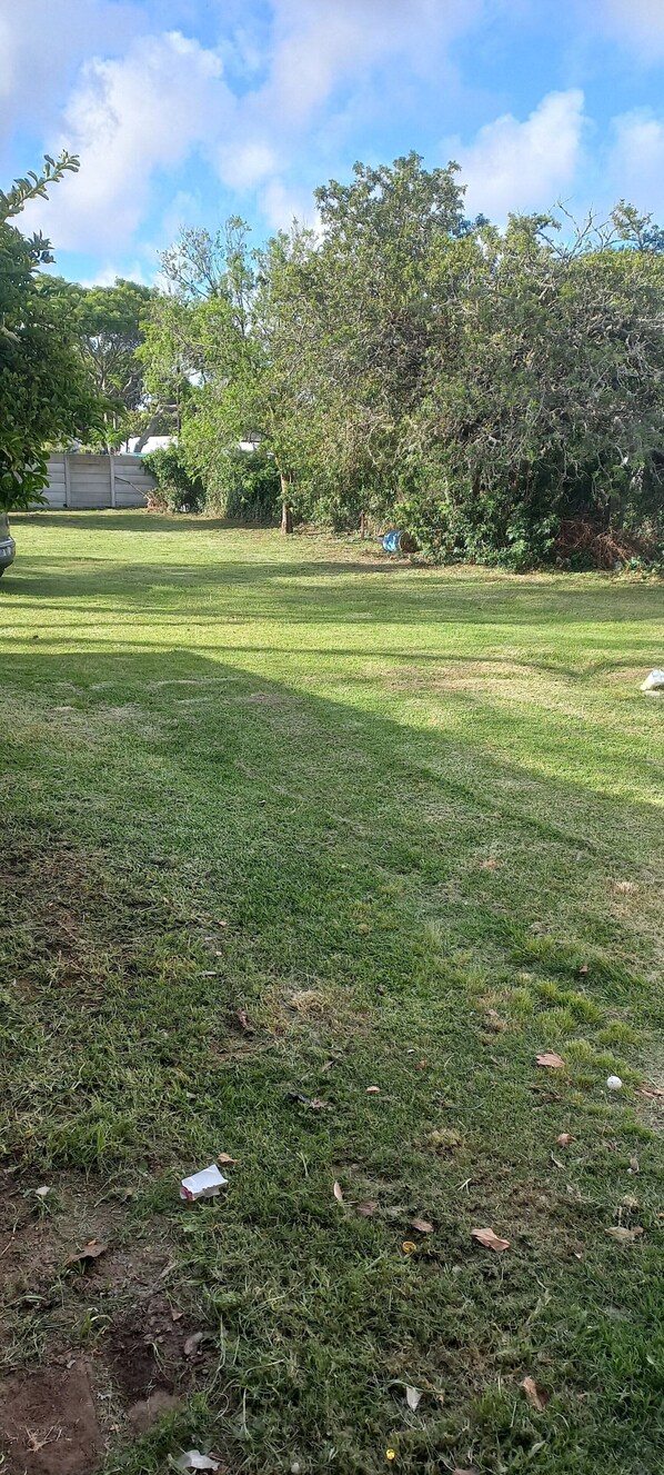 A grassy outdoor area with trees and a clear sky. - Villiers Villa (Gqeberha)