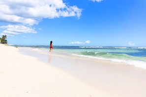 Beach - Seagull Paradise 1D (La Romana)