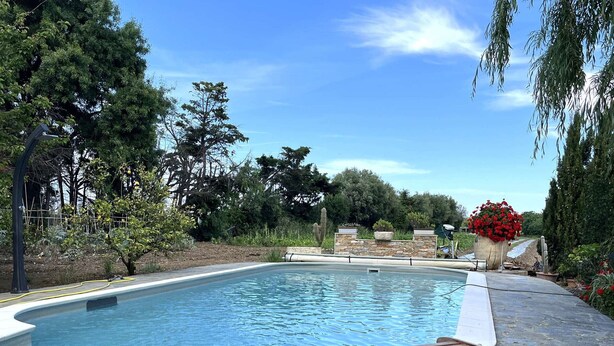 A swimming pool with a wooden lounge chair, surrounded by stone tiles and various plants. - Apartment in Furiani near Bastia, 3 bedrooms, pool (Furiani)