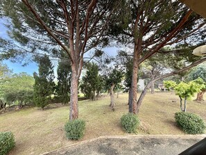 Property grounds - Studio with Terrace and Parking - Sleeps 2 in L'Île-Rousse (L'Île-Rousse)