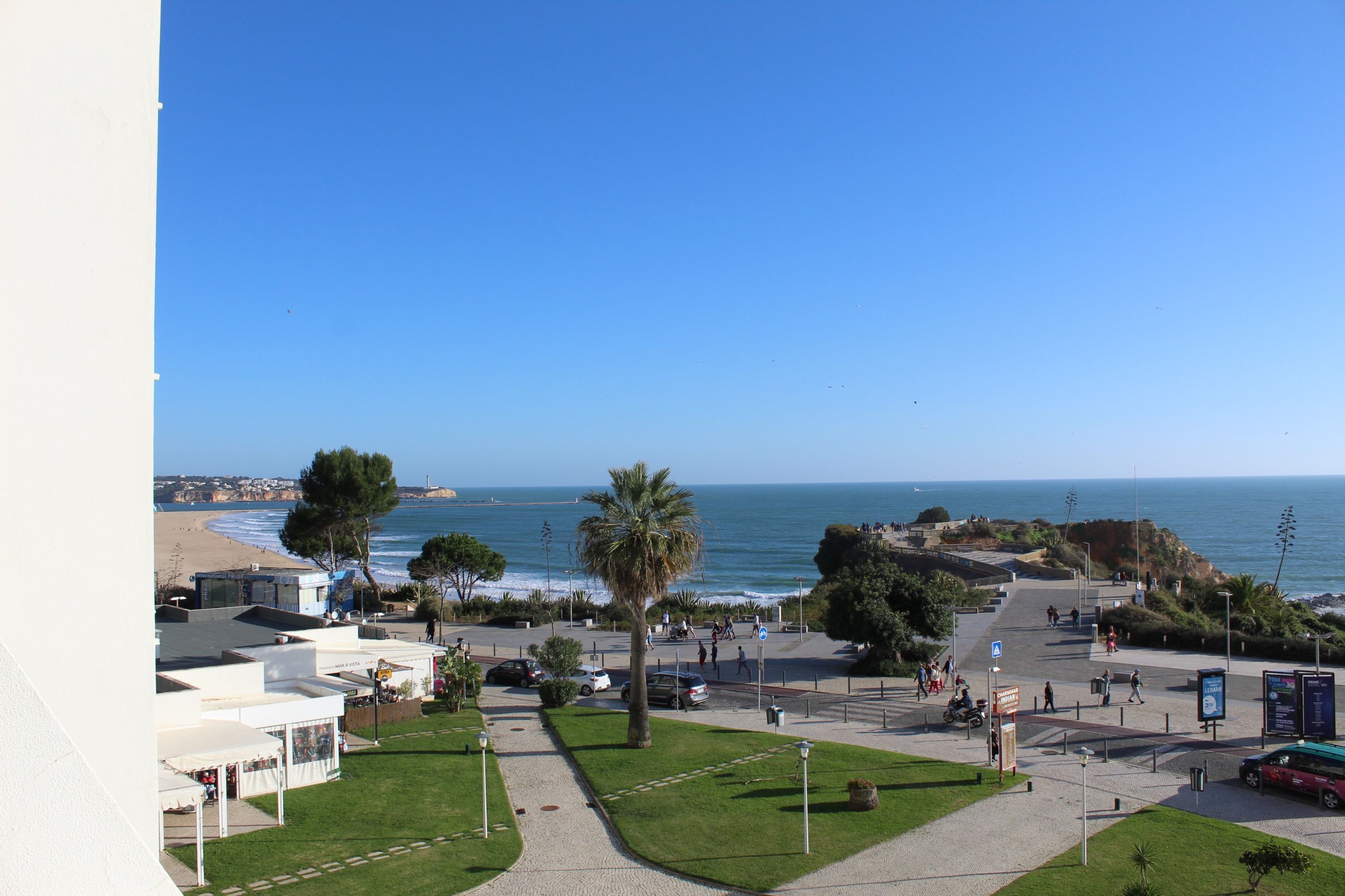 A coastal view with a paved walkway, palm trees, and a beach in the background.