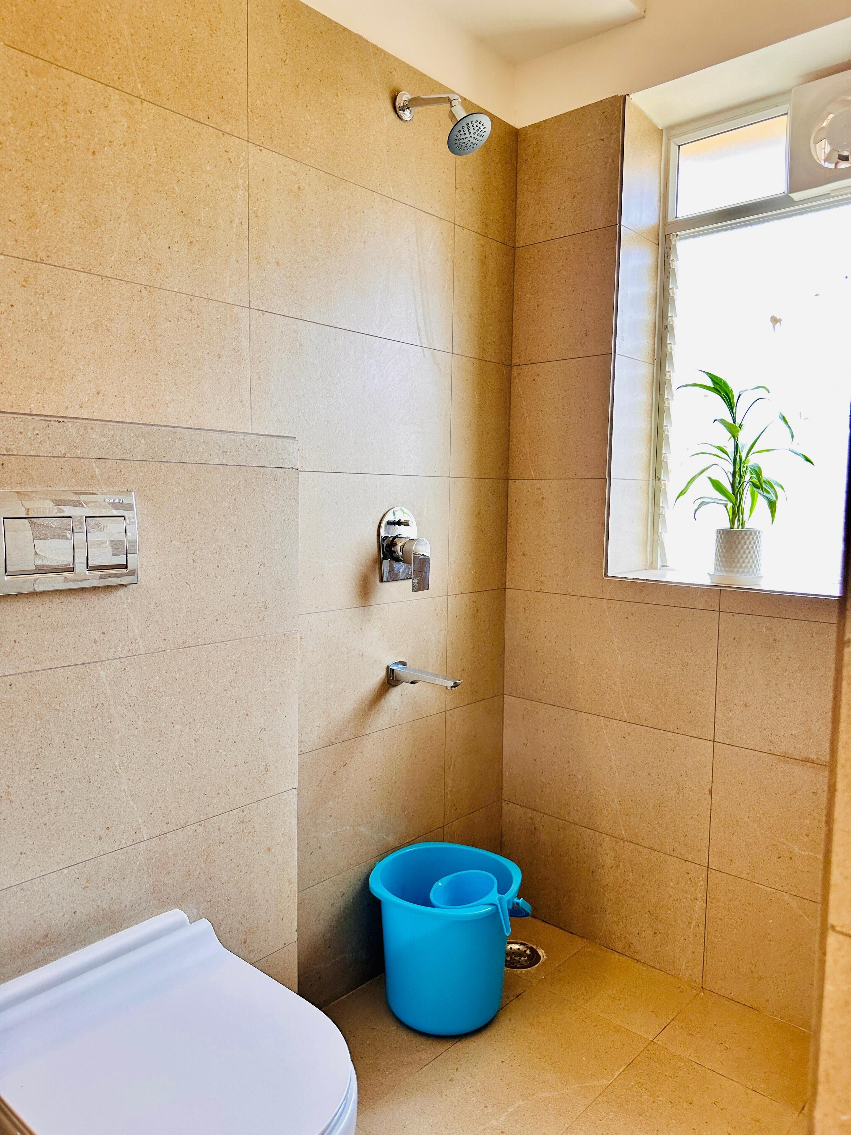 A bathroom with a shower, toilet, and a window with a plant.