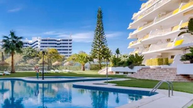 Una piscina sotto un cielo azzurro limpido, un alto pino e un edificio a più piani con balconi.