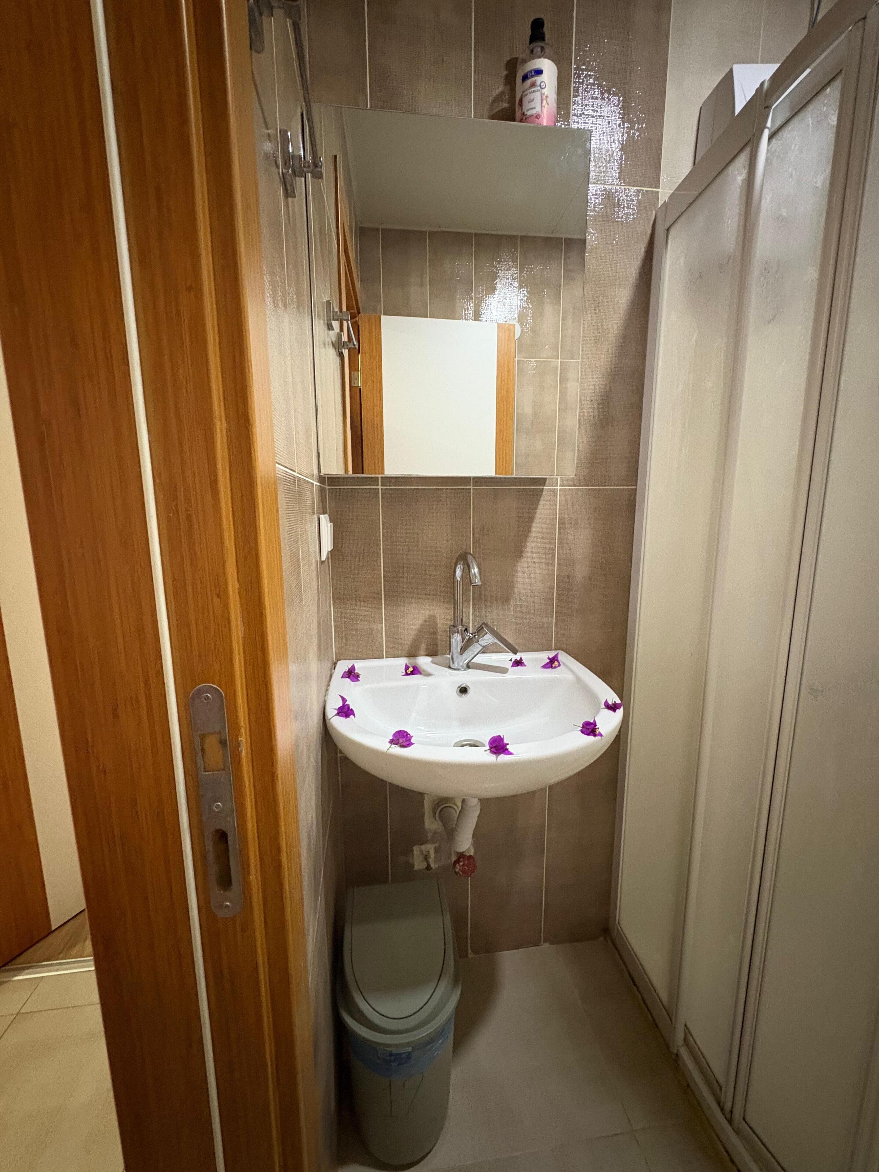 A small bathroom with a white sink, a mirror, and a toilet. There is a wooden door and a small trash bin.