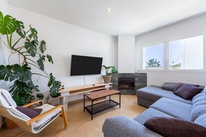 TV, fireplace
