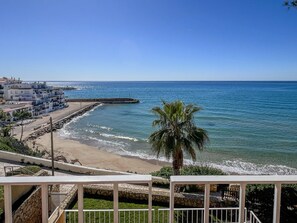 Une vue côtière avec une plage, un palmier et des bâtiments le long du rivage.
