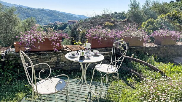 Une terrasse avec une table et des chaises, entourée de plantes en pot et d’un mur de pierre.