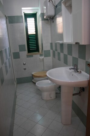 Appartement | Badkamer | Een douche, een haardroger, handdoeken, zeep