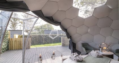 Number 1 Dome