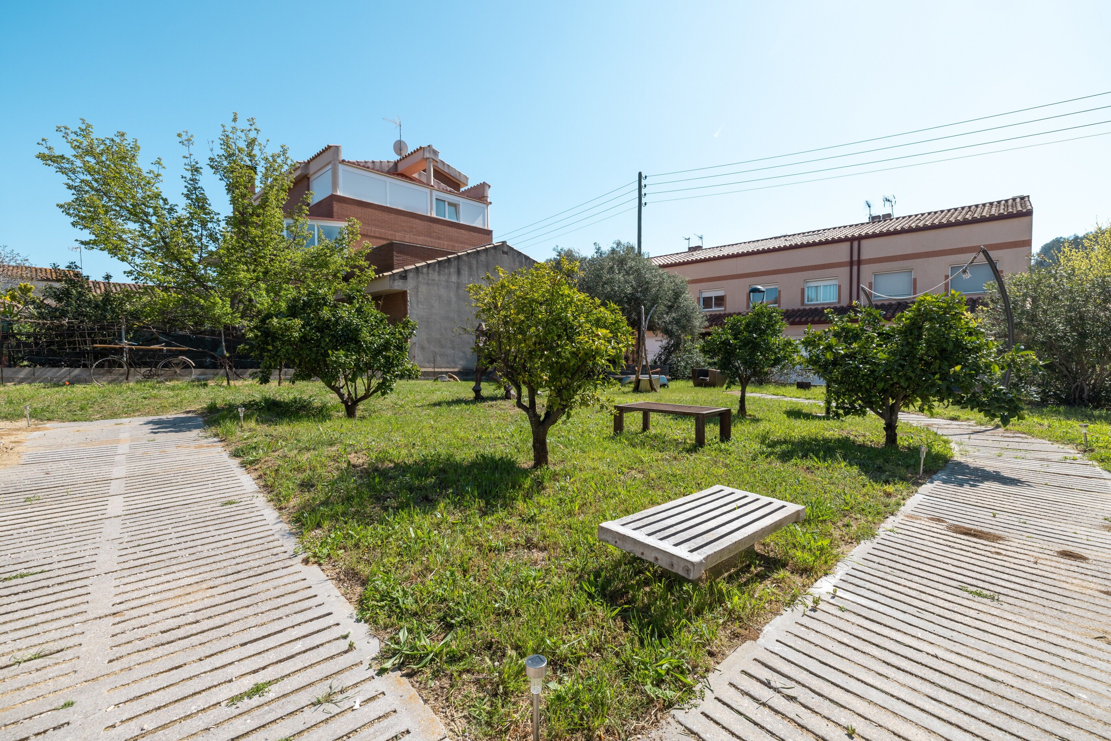 A courtyard with a paved walkway, a bench, and trees.