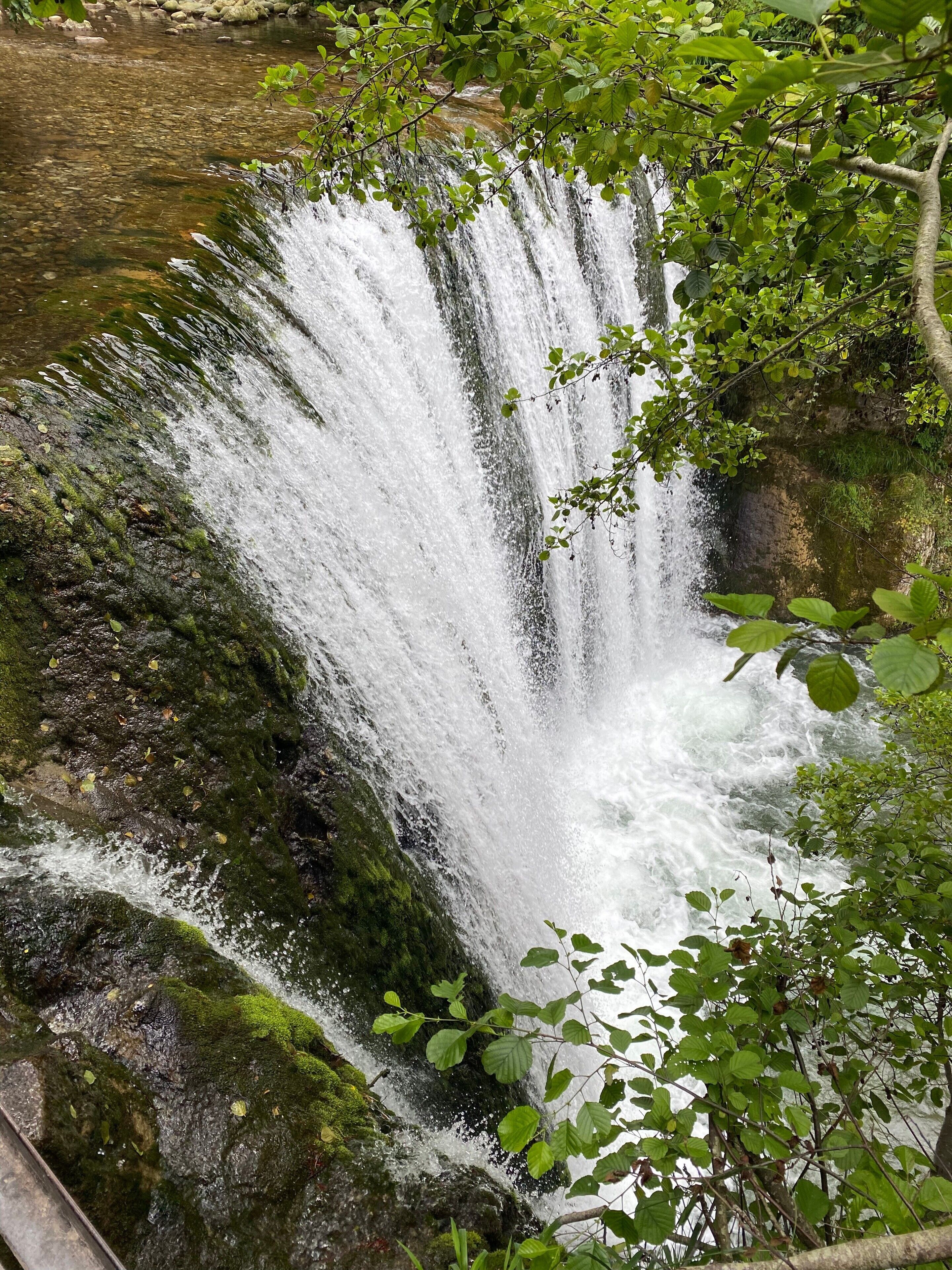 A waterfall cascading over moss-covered rocks surrounded by dense green foliage.