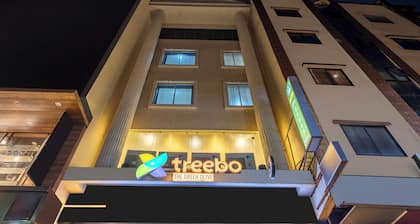 Treebo Green Olive
