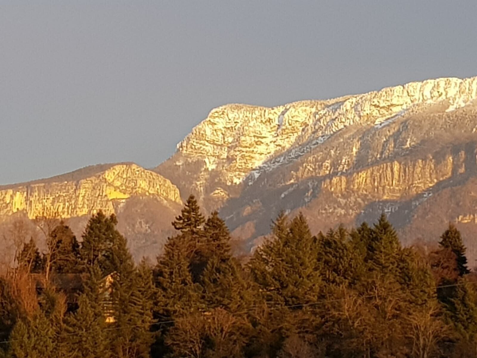 Un paysage de montagne avec une forêt dense au premier plan.