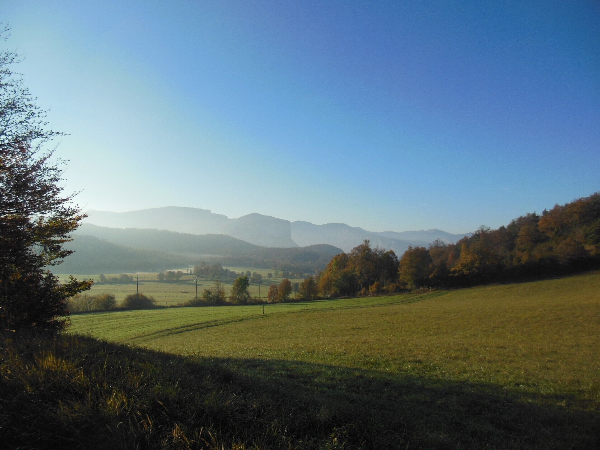 Een landelijk landschap met velden, bomen en verre bergen.