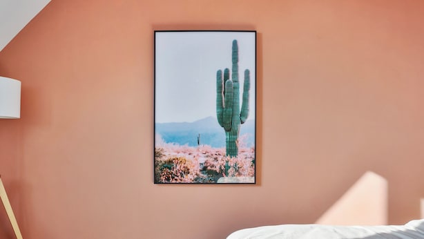 A bedroom with a bed, a framed picture of a cactus, and a wooden floor. - Spacious 3 bedroom apartment with parking (Machelen)