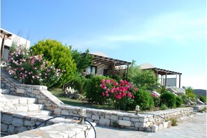 المنطقة المحيطة بالمنشأة