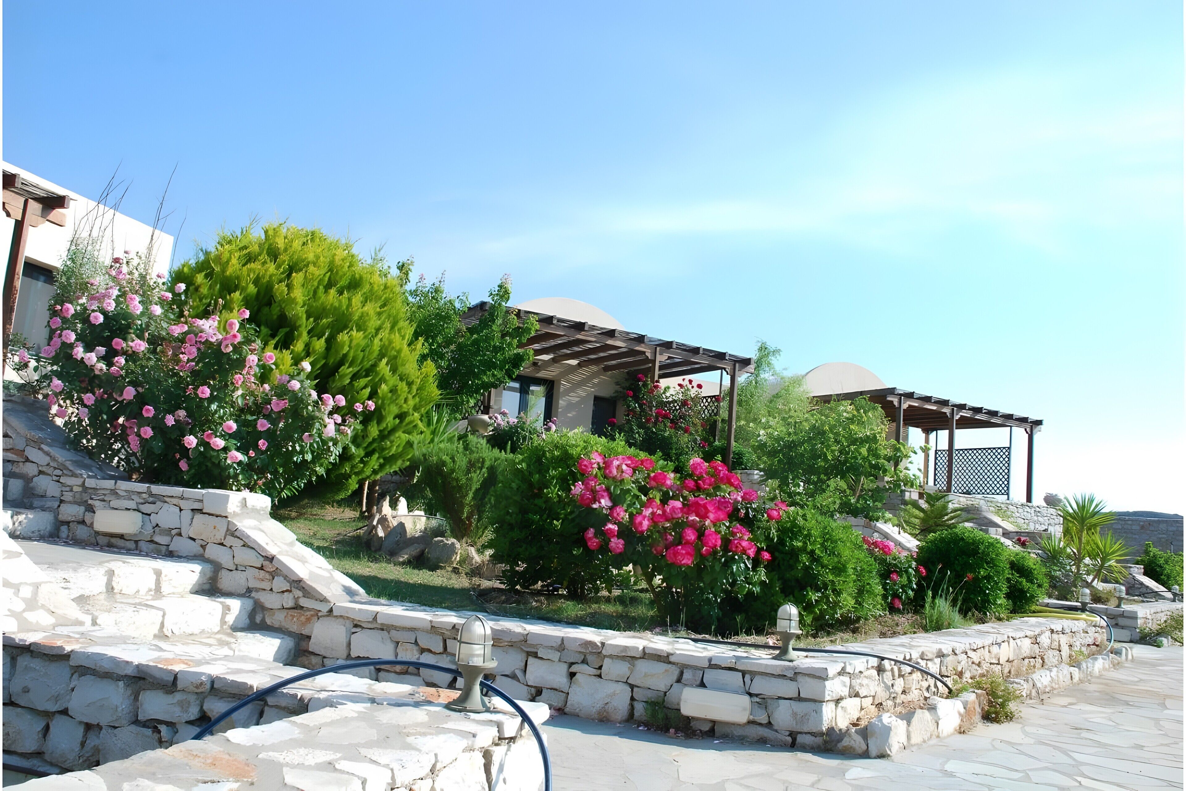 المنطقة المحيطة بالمنشأة