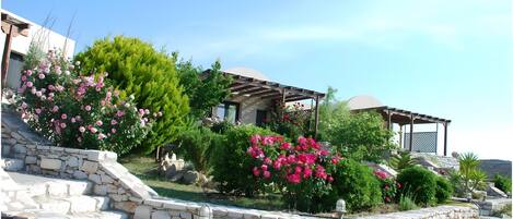 المنطقة المحيطة بالمنشأة