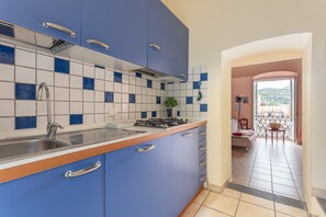 Fridge, stovetop, dishwasher, cookware/dishes/utensils