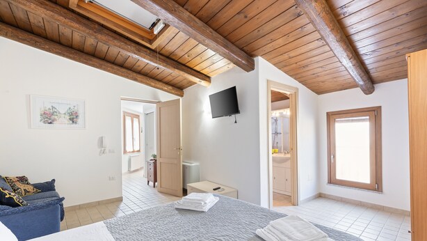 Une chambre à coucher avec un lit, une télévision, un plafond en bois, une porte et une fenêtre.