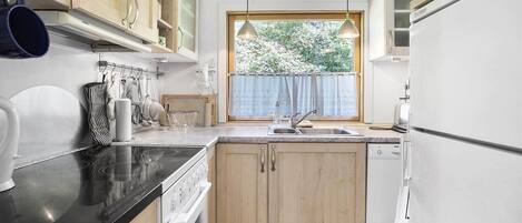 Fridge, oven, stovetop, dishwasher