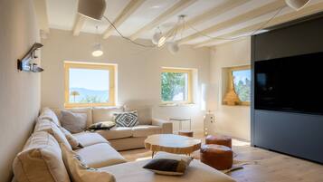 Télévision, cheminée