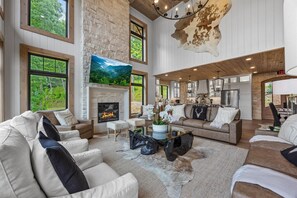 Télévision, cheminée, jeux vidéo