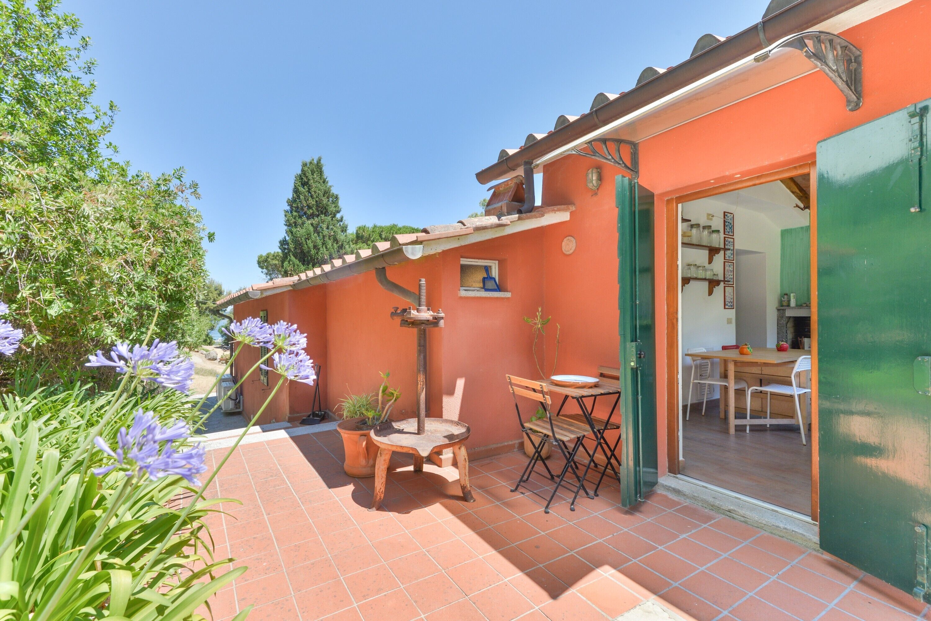 Une terrasse avec une table et des chaises, un pot de fleurs et une porte donnant sur un espace intérieur.