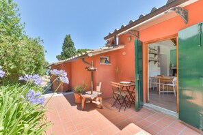 A patio with a table and chairs, a potted plant, and a door leading to an interior space.