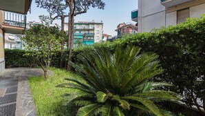 Un exuberante jardín con una palmera grande, rodeado de arbustos variados y un pequeño árbol con frutos amarillos.