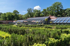 Exterior - Wilderness Reserve - Walled Garden (Saxmundham)